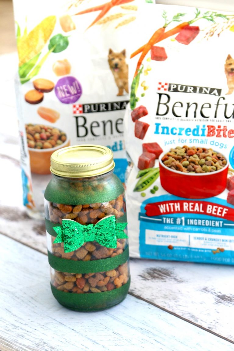 Mason Jar Dog Food Travel Storage