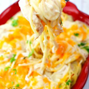 Cheesy Chicken Spaghetti Cake Recipe : Ooey gooey creamy cheese in a baked meal the whole family will want seconds