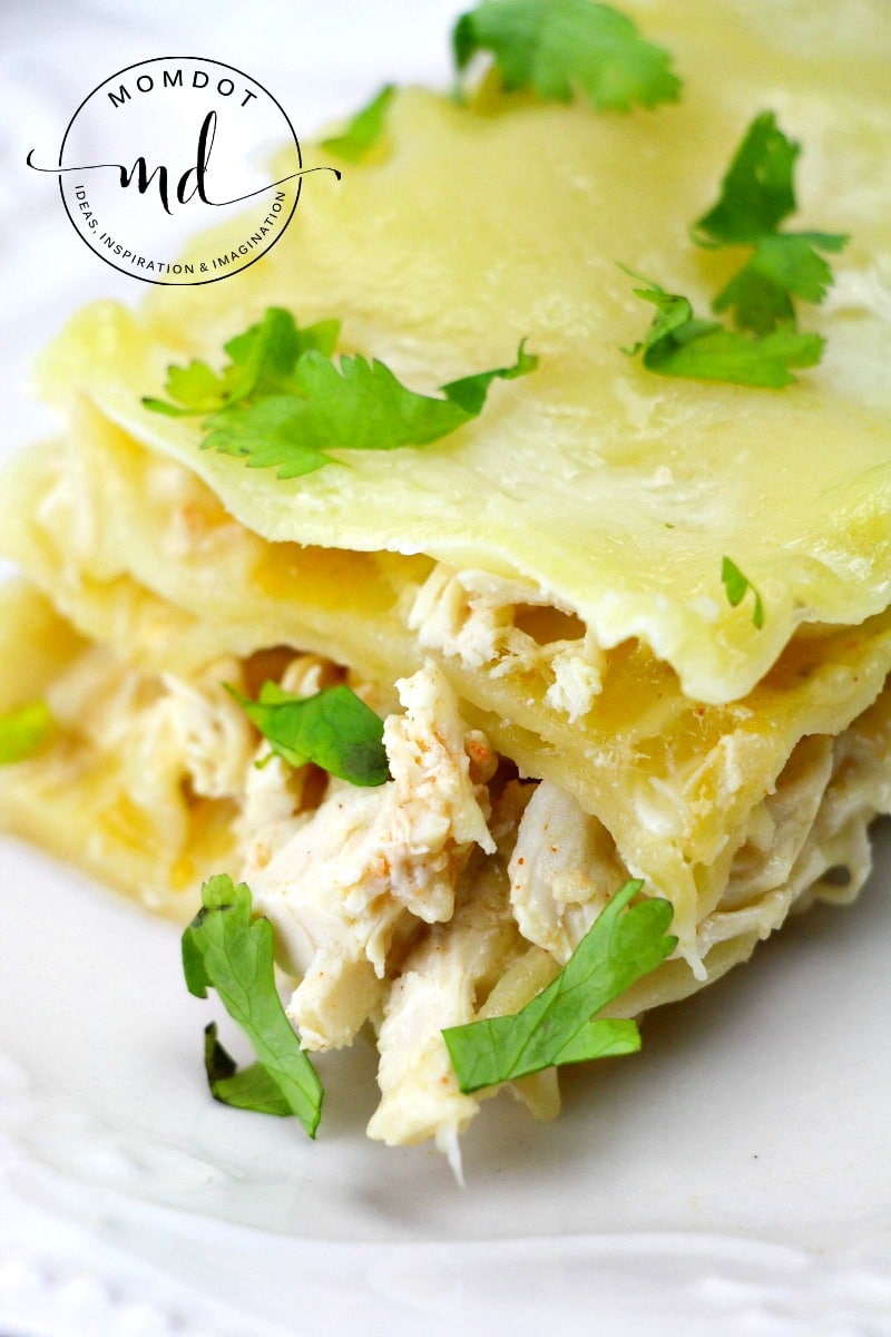 White chicken lasagna recipe with fresh parsley on the top