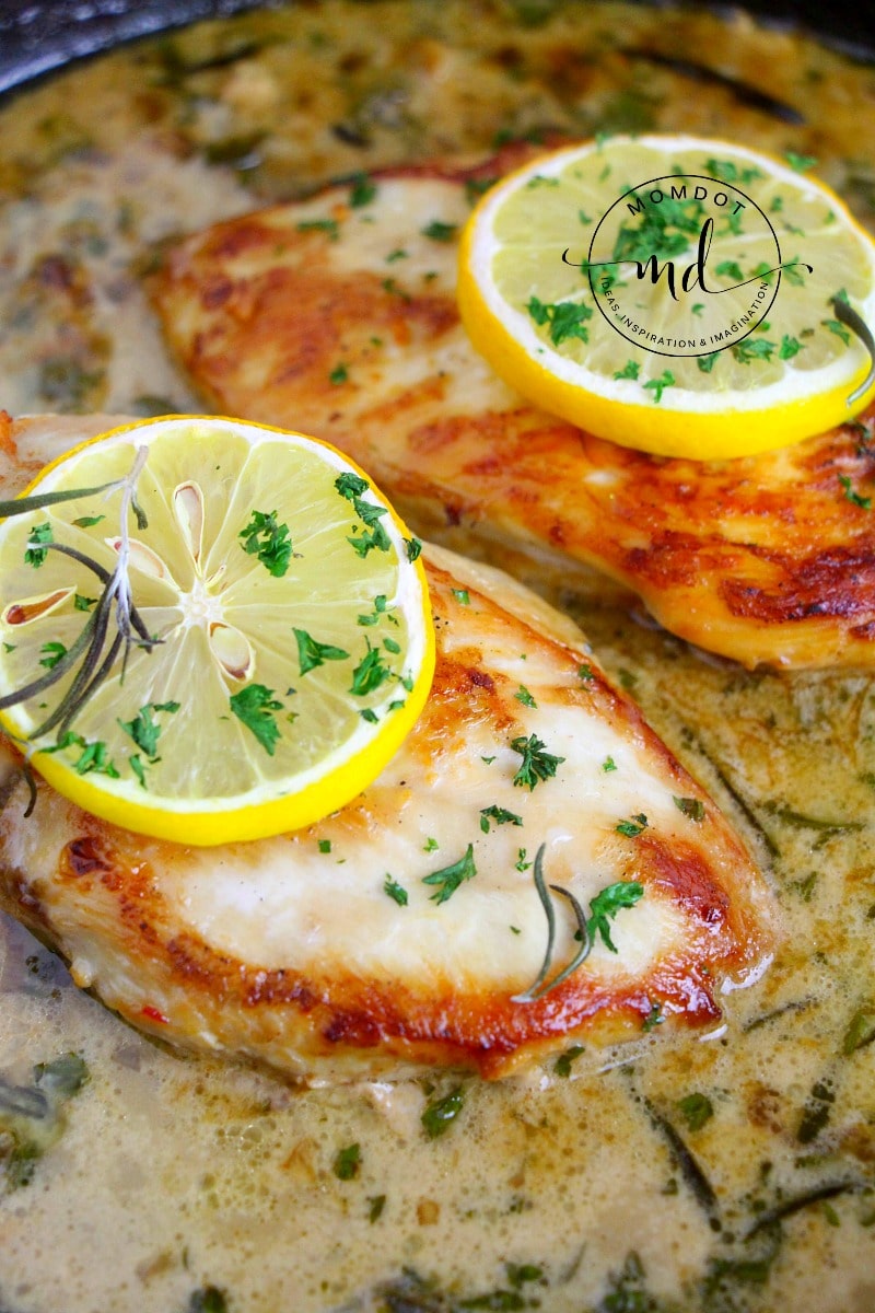 Creamy Lemon Chicken : Sauce two ways for a delicious dinner recipe