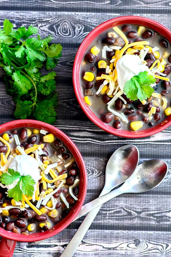 20 Slow Cooker and Instant Pot 21 Day Fix Recipes