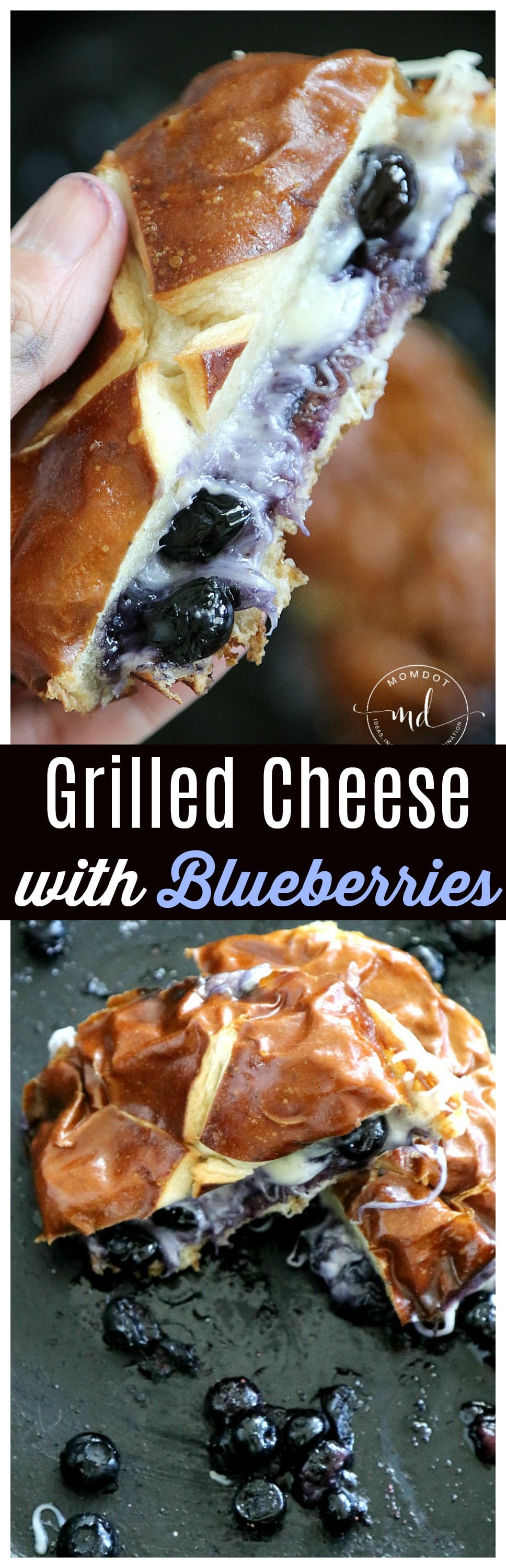 Grilled Cheese with Blueberries, a delicious alternative to a traditional lunch that kids and adults will both love to make and eat