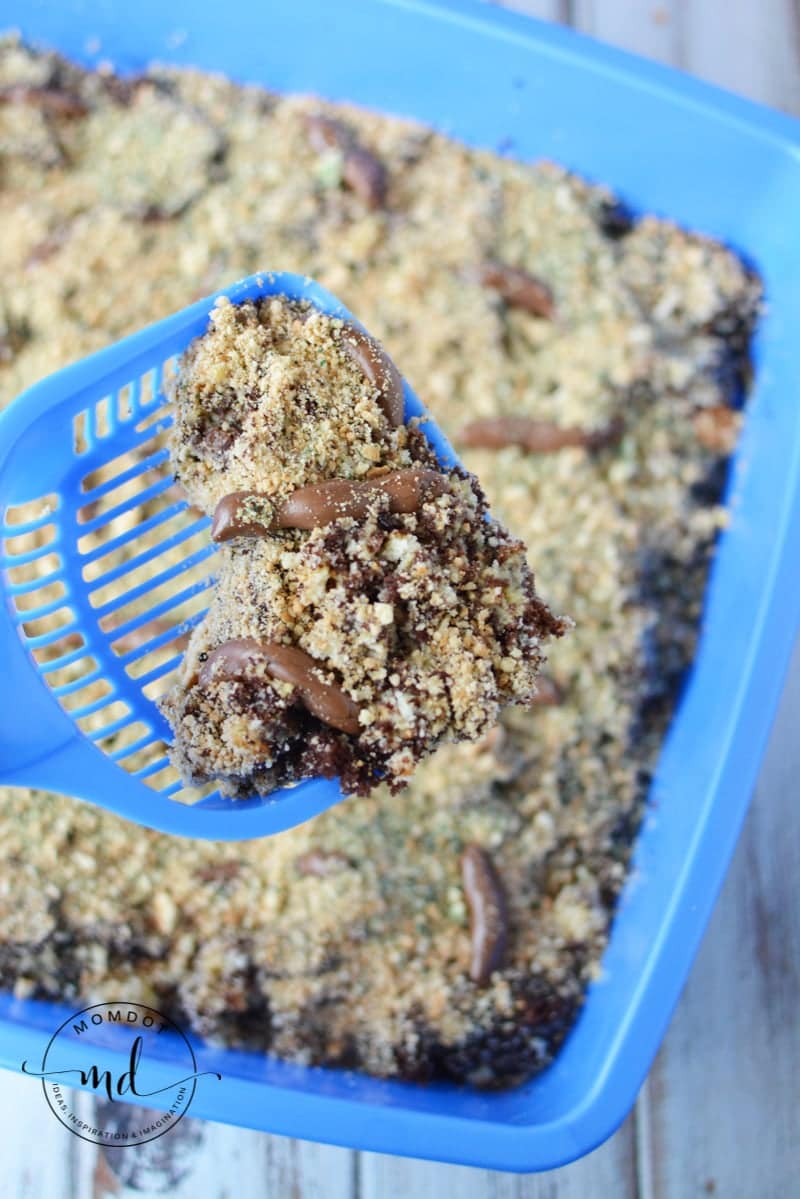 Clean kitty litter scooper with a scoop of kitty litter cake on it.