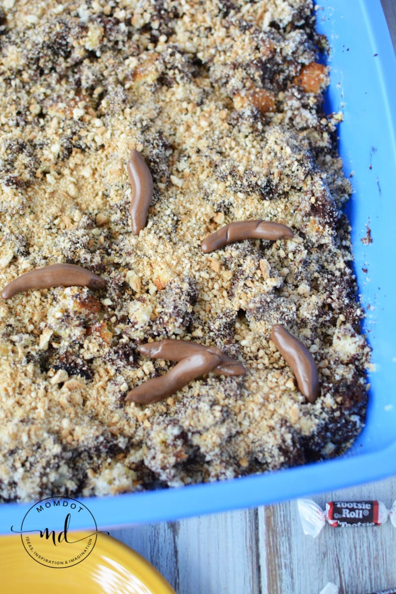 Kitty litter cake assembled in the clean litter pan with Tootsie Roll poops on the top.