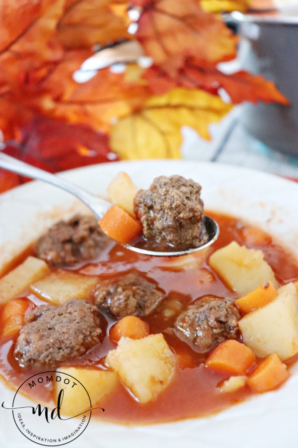 Simple Hamburger Soup