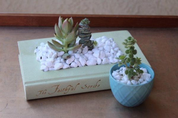 A book turned into a succulent planter is a perfect DIY gift for moms who love books.