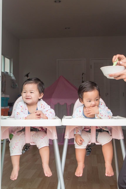 twin baby high chairs