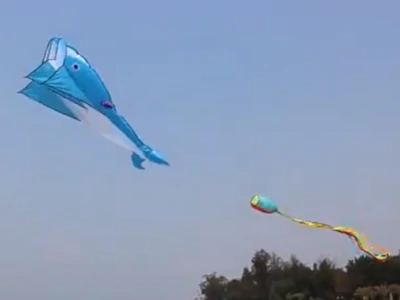 Image 3D Dolphin Kite
