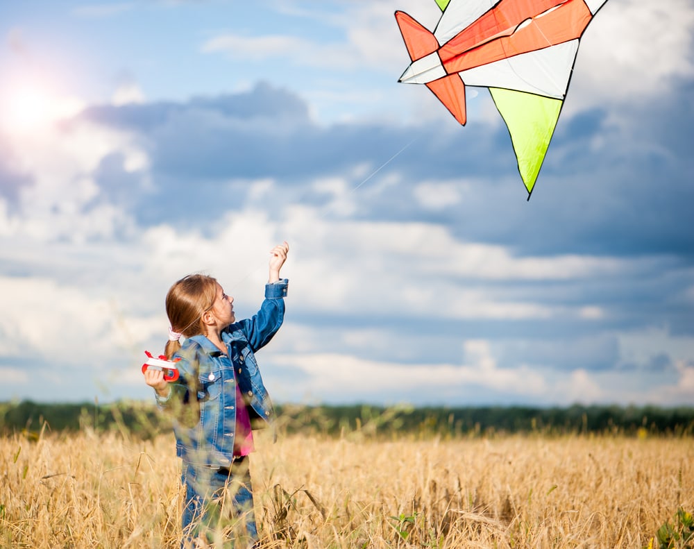 Best Kites for Kids 2024 Reviews and Buying Guide