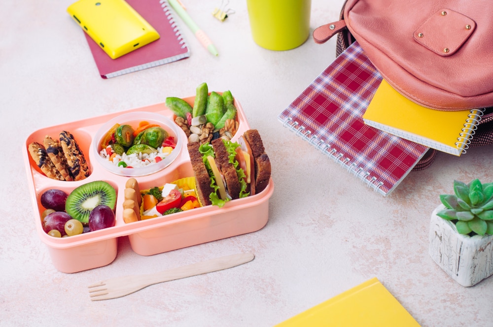 Best Bento Boxes for Kids 2024 Reviews and Buying Guide