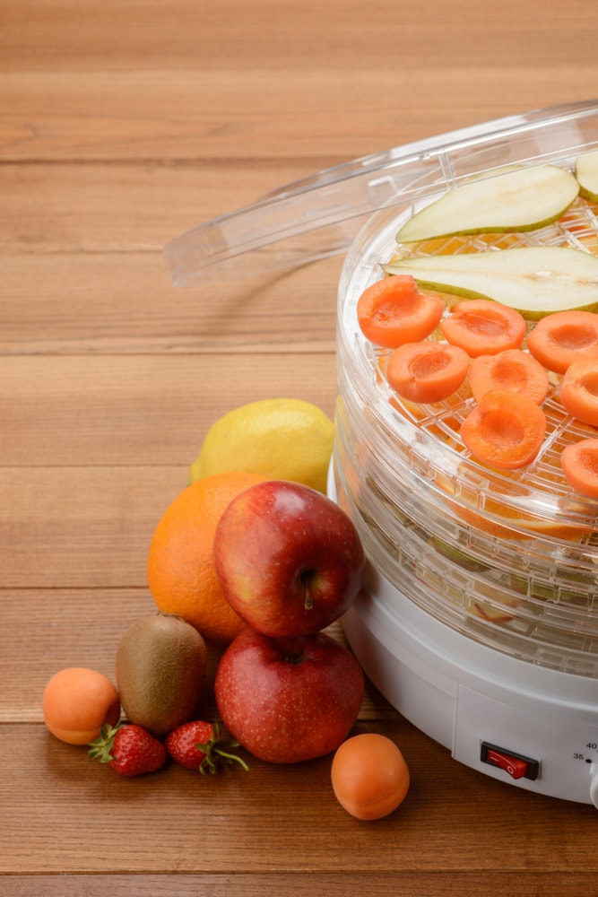 Sedona Food Dehydrator Vs Excalibur Which is Best?