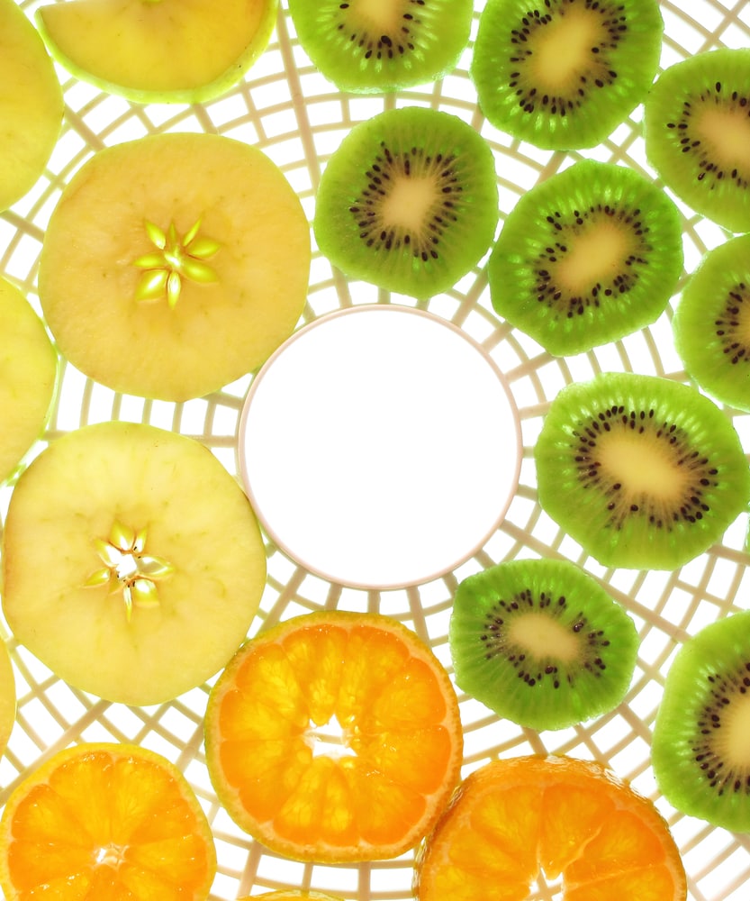 Air fryer Vs. Dehydrator Differences And Top Picks