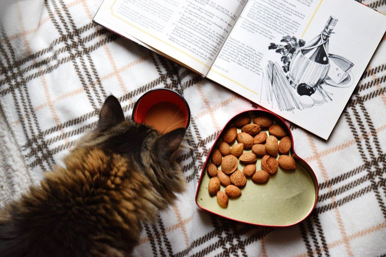 Recipes Book