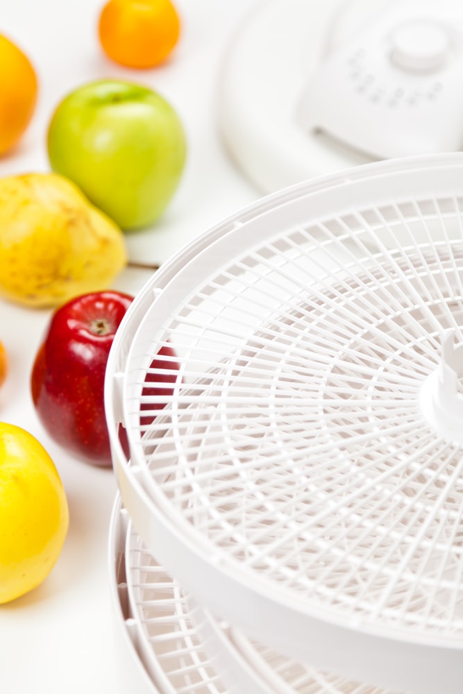 Salton Food Dehydrator Review An InDepth Guide