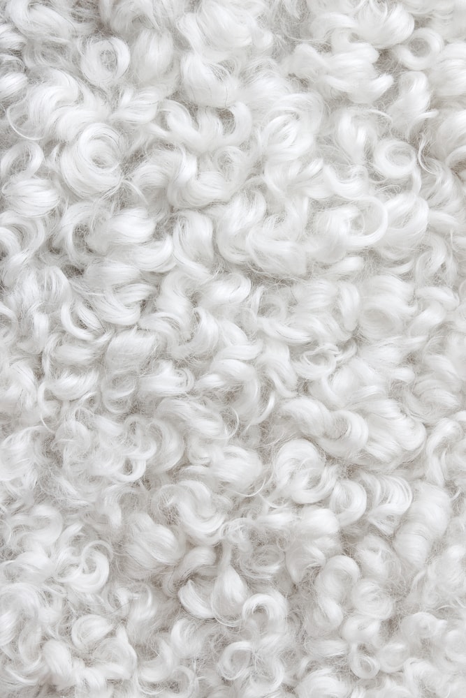 Types of Wool 13 Essential Wools for Making Clothes