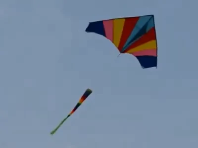 Best Rainbow Delta Kite