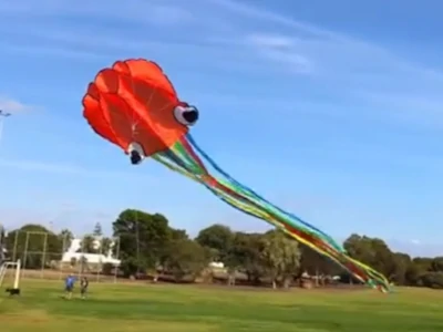 Hengda Kite Software Octopus Flyer Kite